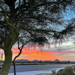 Meet your Posher, Jodi